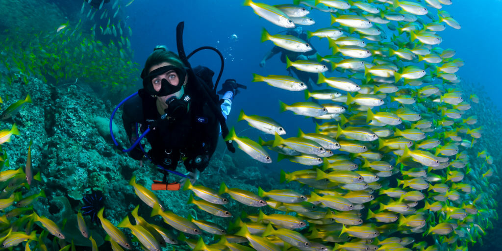 Diving from Koh Lanta