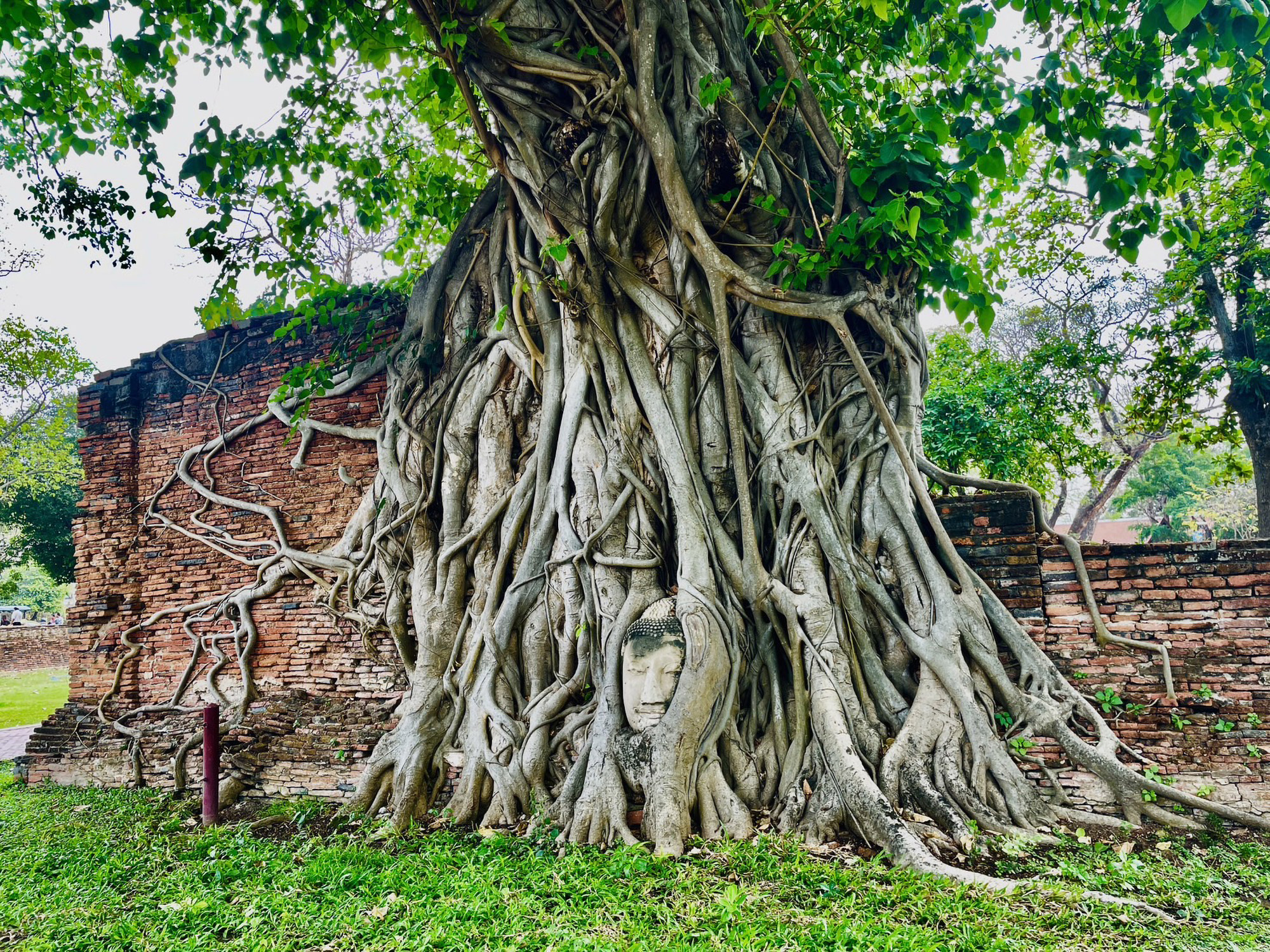 A day by tuk-tuk in Ayutthaya