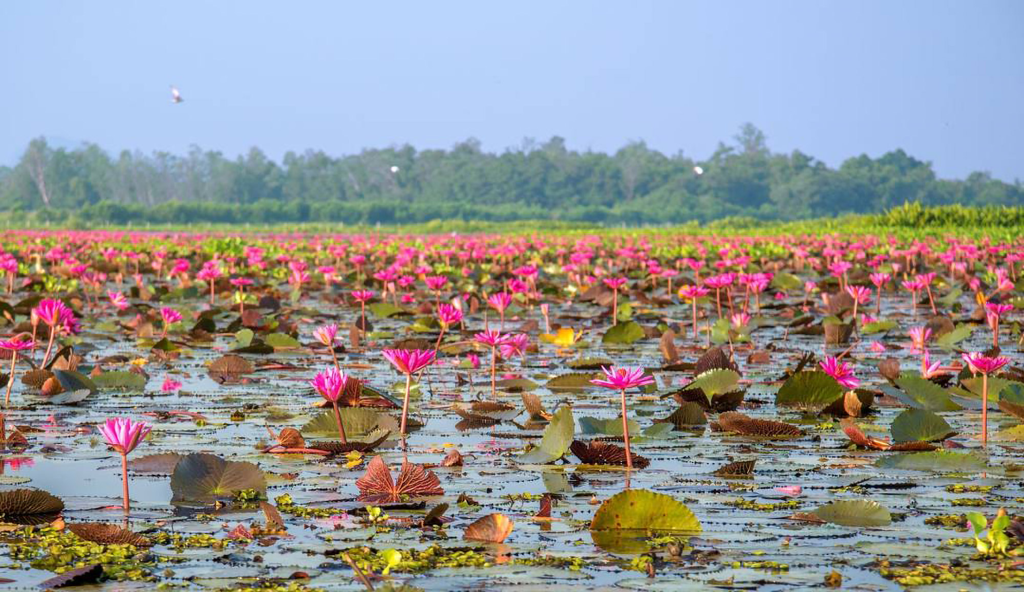 Phatthalung