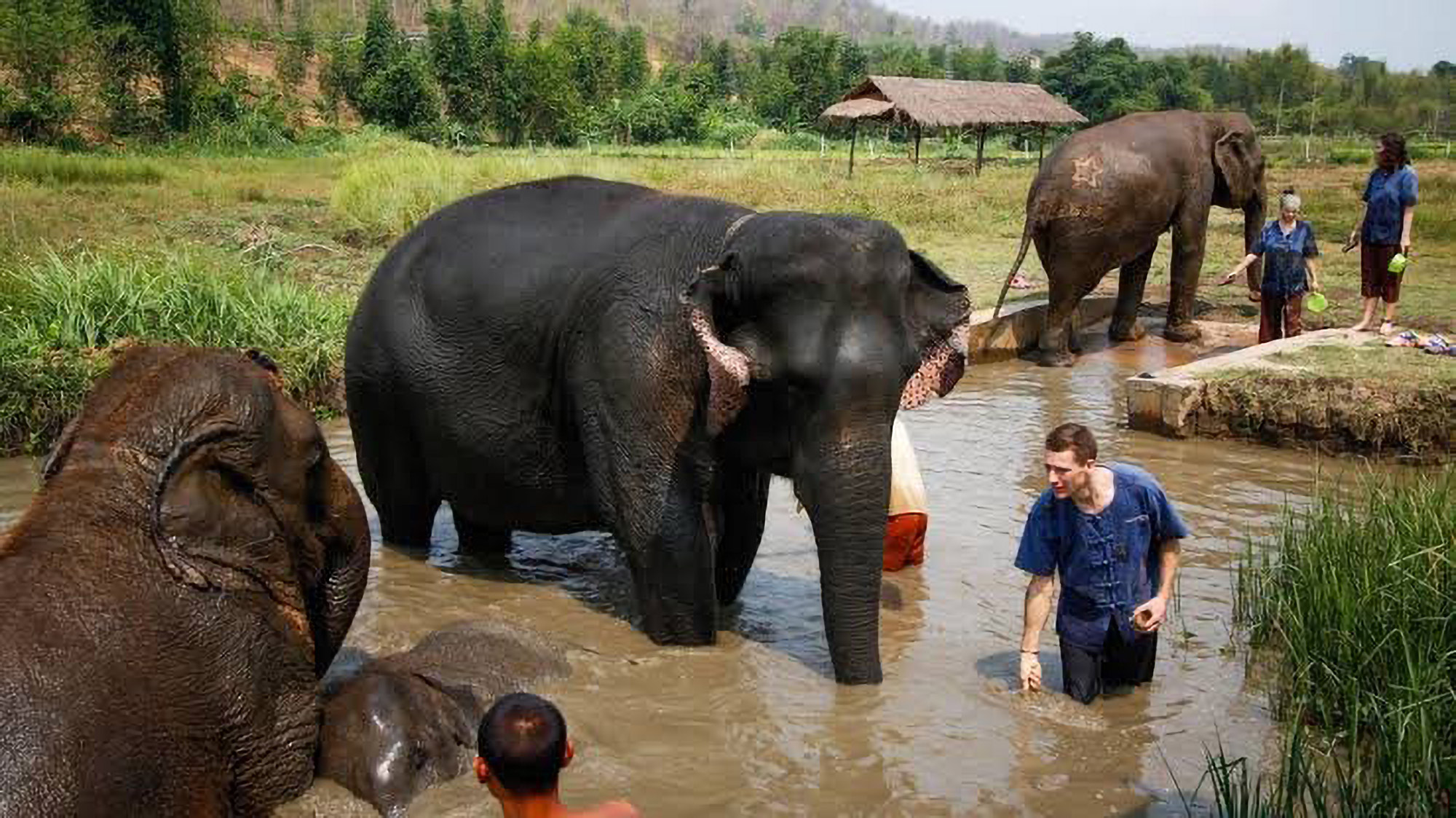 Elephants and “bamboo rafting”