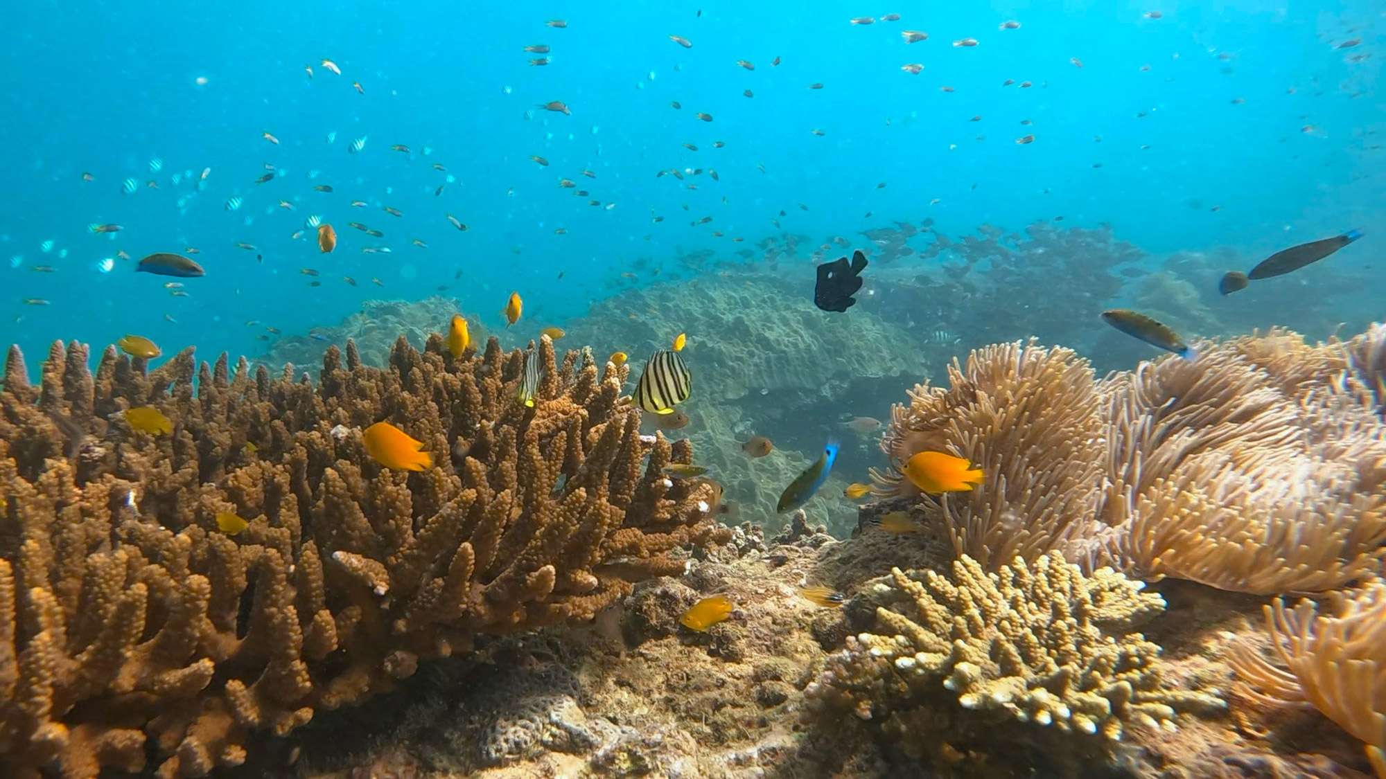 Explorez Khao Na Yak : La beauté naturelle entre terre et mer