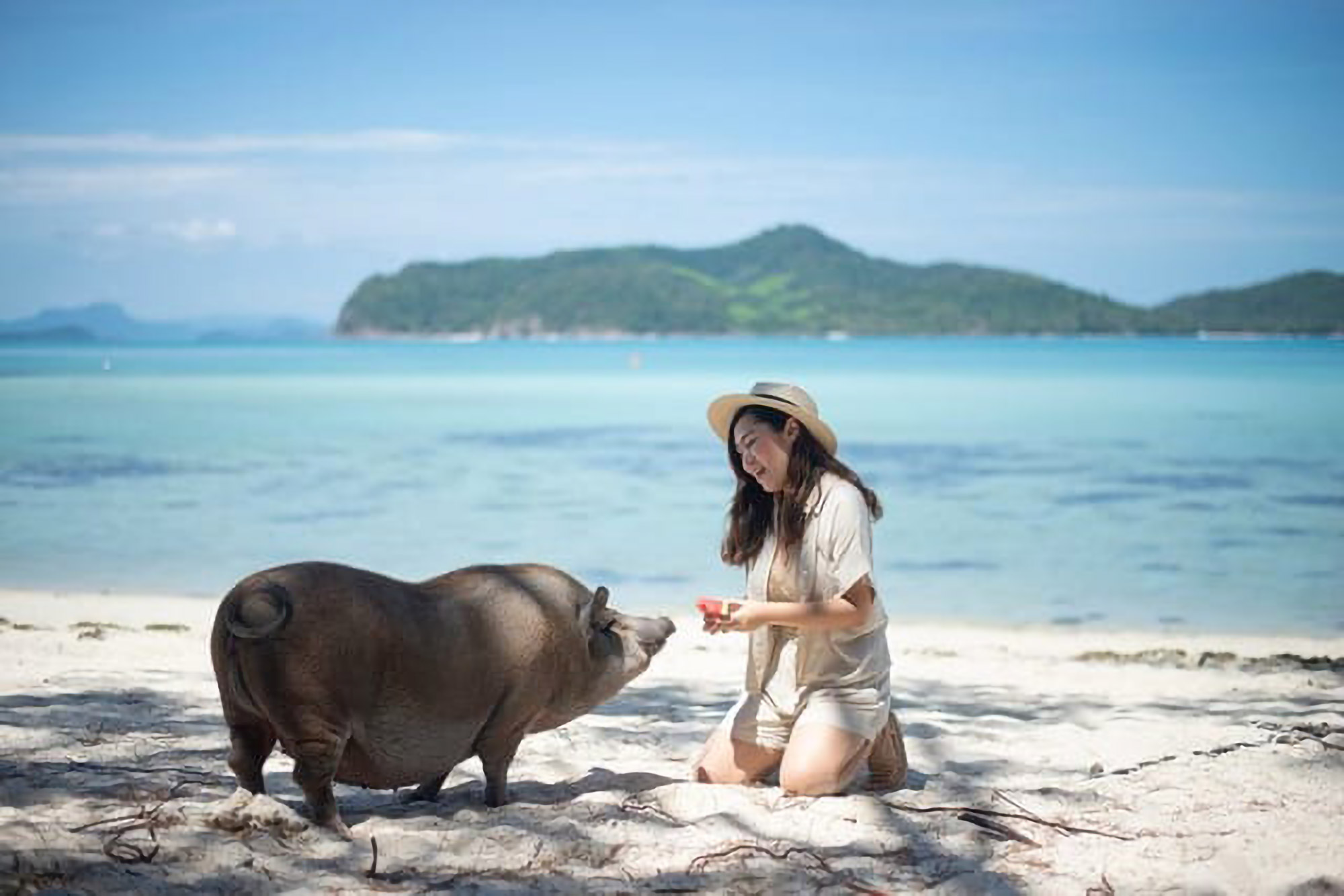 Visite de Koh Tan