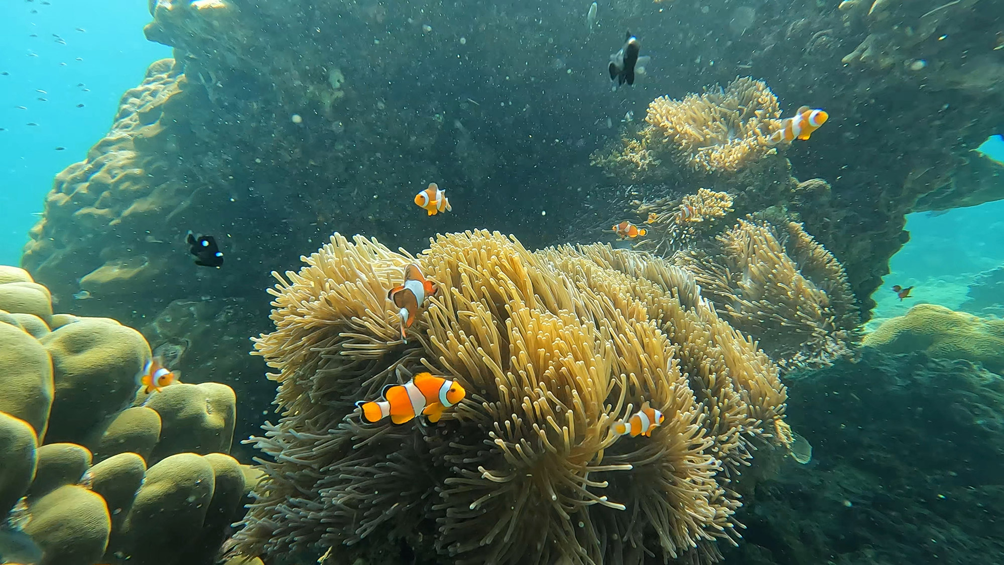 Excursion and snorkelling in Koh Hong