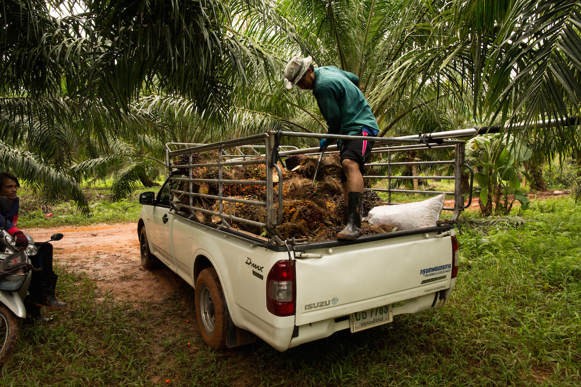 Local Life Tour in Krabi