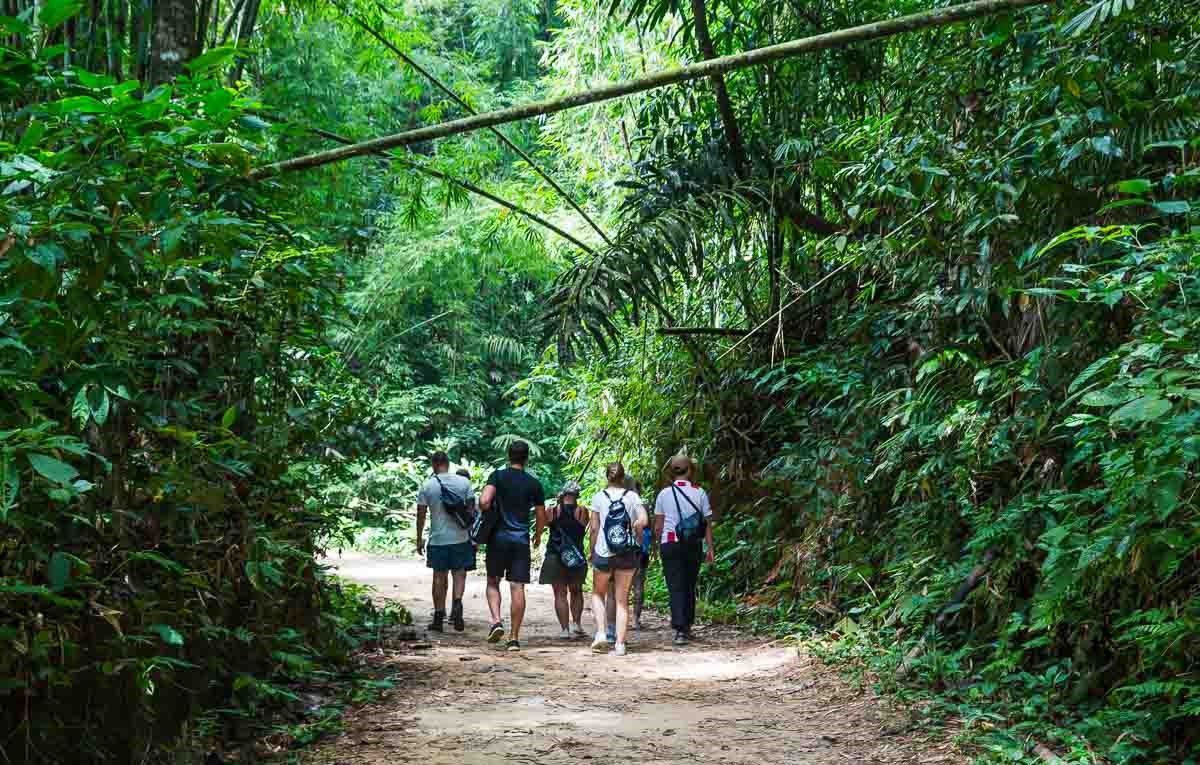 Half-day hike & bamboo cooking